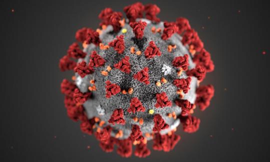 Coronavirus: une crise sanitaire internationale