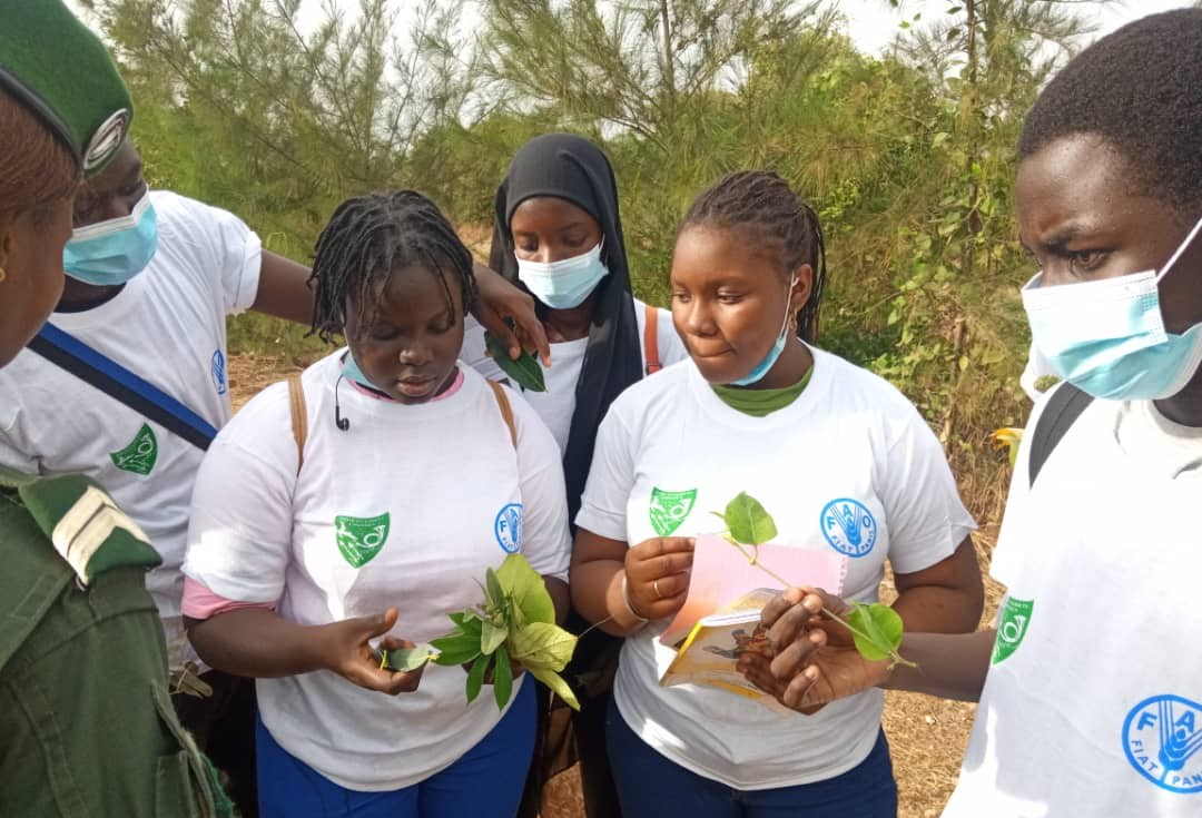 La FAO sensibilise des élèves à la sauvegarde des forêts