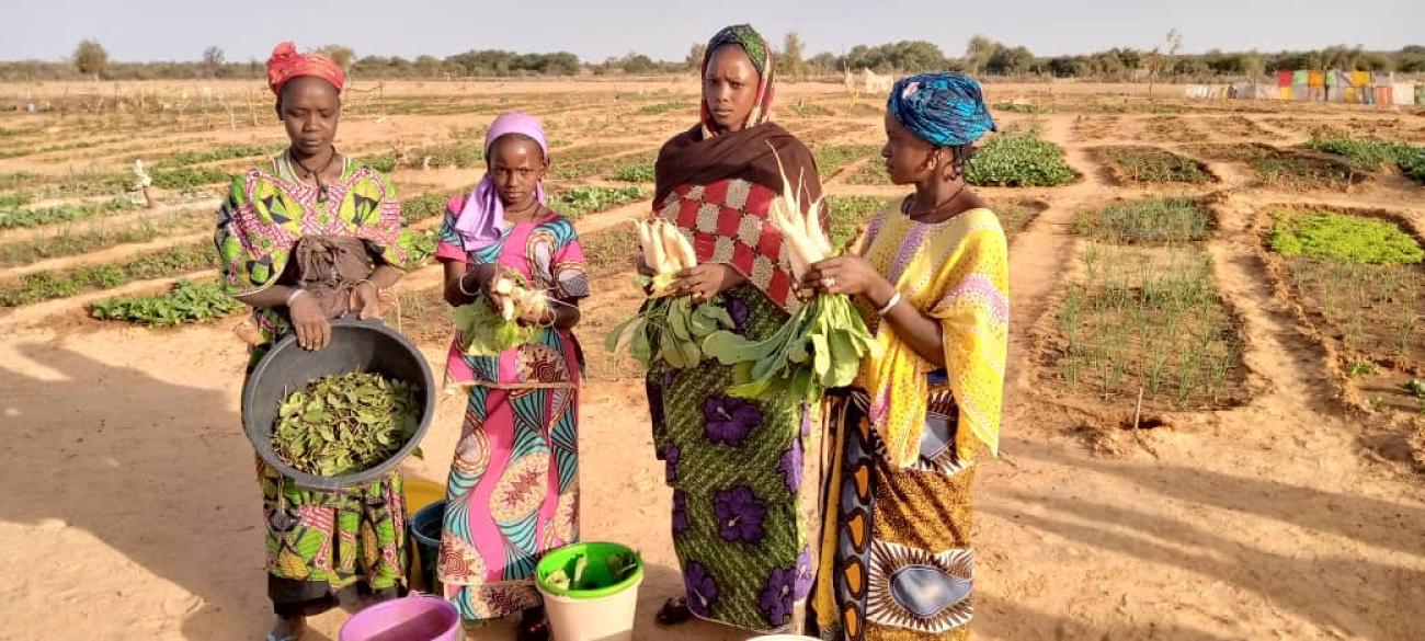 Femmes et jeunes filles d’Oudalaye avec leurs récoltes. ©CECI