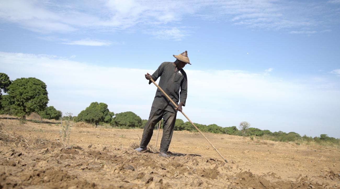 Cultivateur Sénégalais