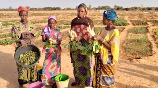 Femmes et jeunes filles d’Oudalaye avec leurs récoltes. ©CECI