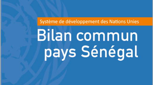 Bilan commun pays Sénégal 2021